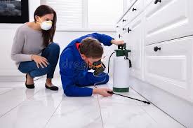 Best Pest Prevention Services  in Woodworth, LA